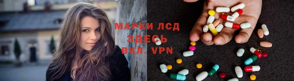 стаф Абаза