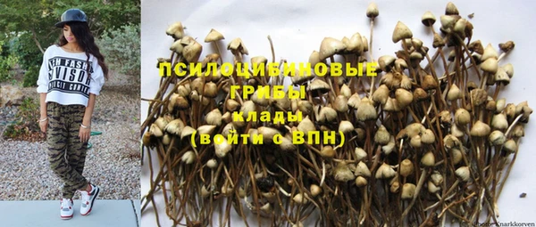 прущий лед Покров