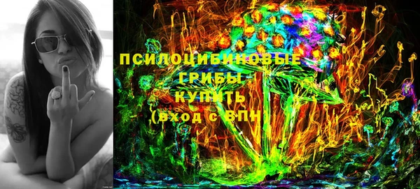 стаф Абаза