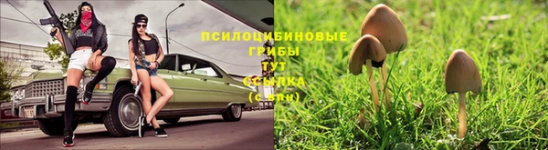 стаф Абаза