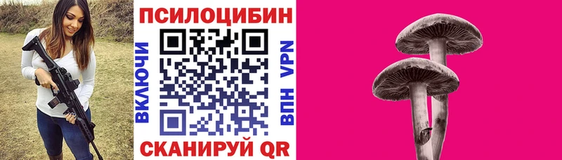 ссылка на мегу сайт где найти Сычёвка Псилоцибиновые грибы GOLDEN TEACHER